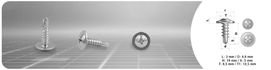 (0059) VITE AUTOFORANTE Pz 125