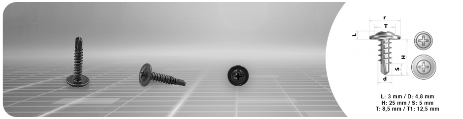 (0064) VITE AUTOFORANTE Pz 66